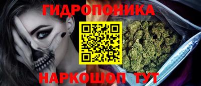 стаф Дубна