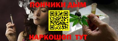 стаф Дубна