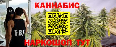 стаф Дубна