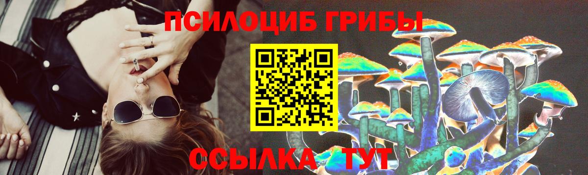 Люберцы  Псилоцибиновые грибы MAGIC MUSHROOMS  Вход с VPN 